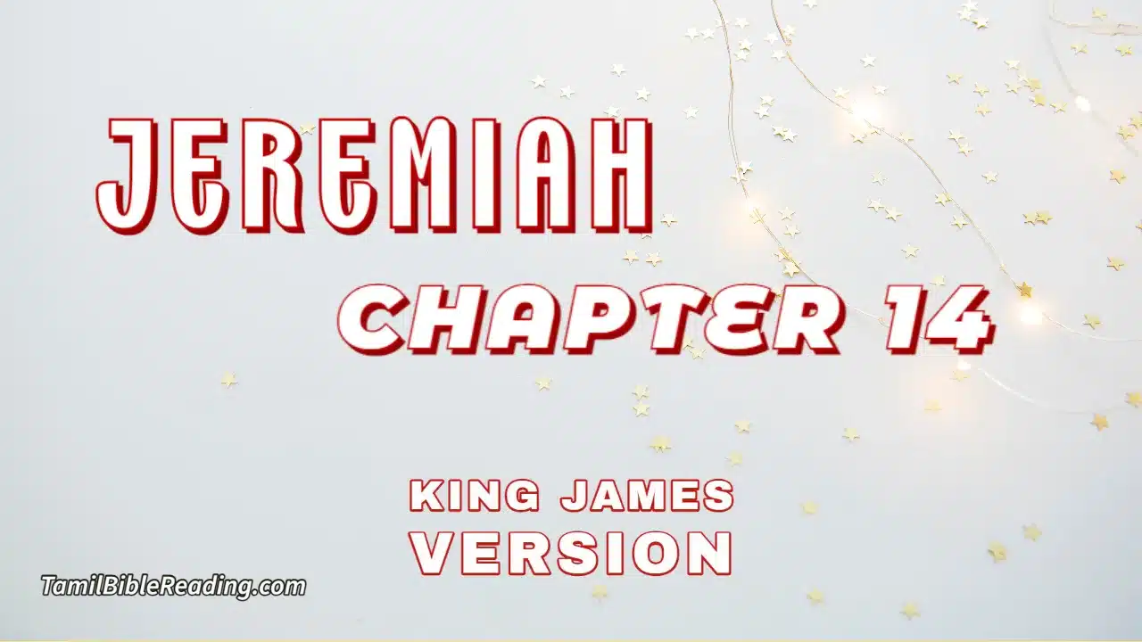 Jeremiah Chapter 14, English Bible, KJV Bible, online English Bible, tbr site,