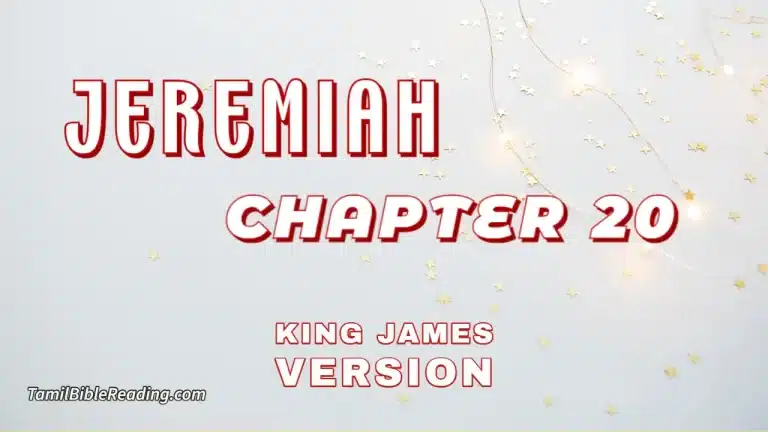 Jeremiah Chapter 20, English Bible, KJV Bible, online English Bible, tbr site,