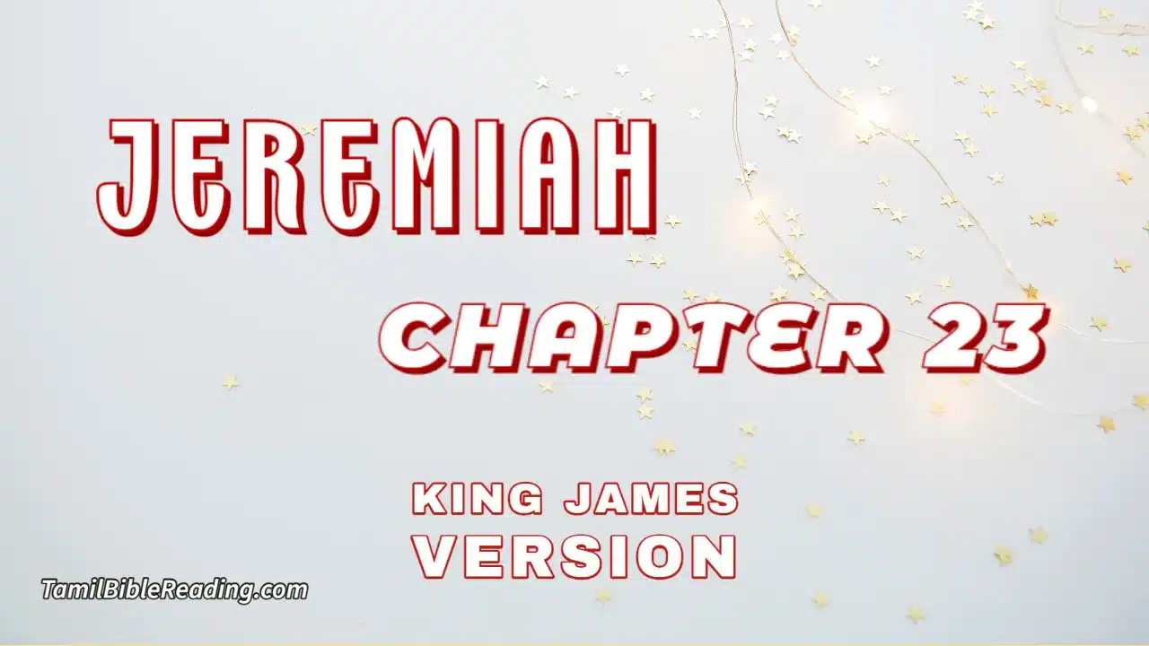 Jeremiah Chapter 23, English Bible, KJV Bible, online English Bible, tbr site,