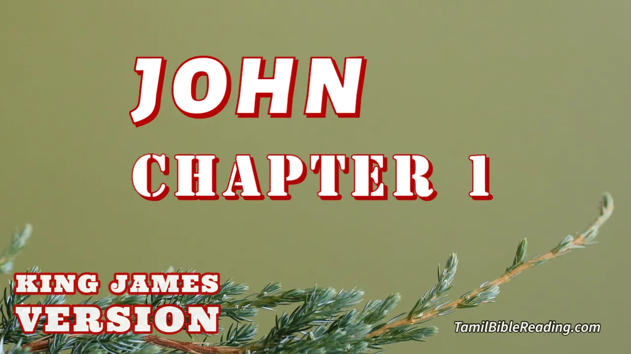 John Chapter 1, English Bible KJV, online Bible Reading, tbr site,