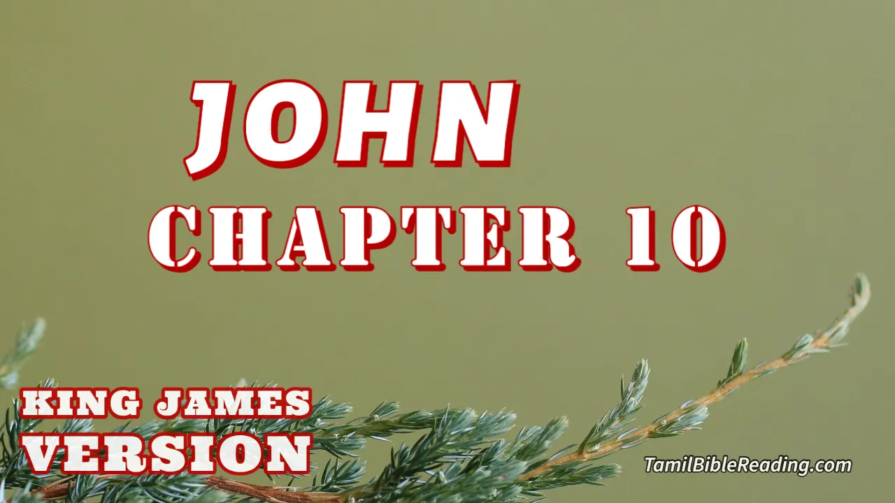 John Chapter 10, English Bible KJV, online Bible Reading, tbr site,