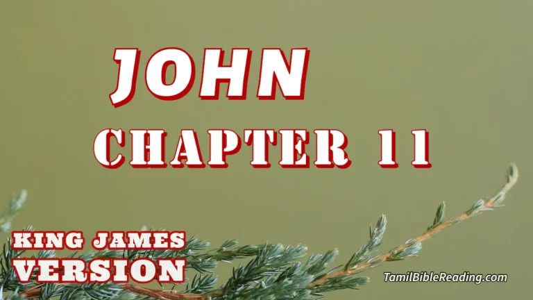 John Chapter 11, English Bible KJV, online Bible Reading, tbr site,