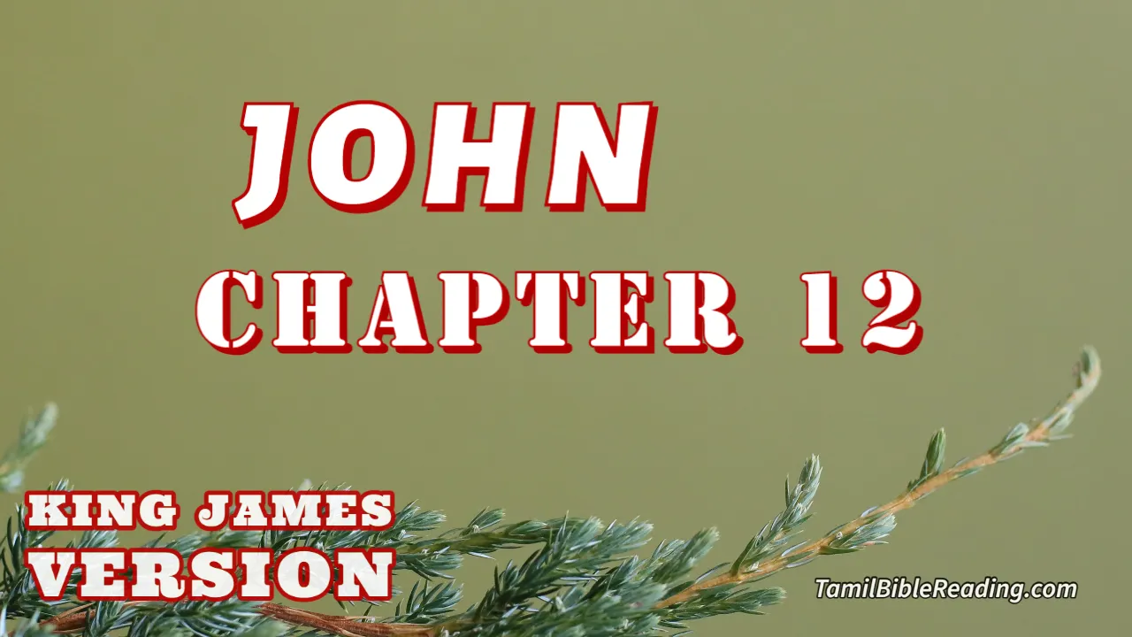 John Chapter 12, English Bible KJV, online Bible Reading, tbr site,
