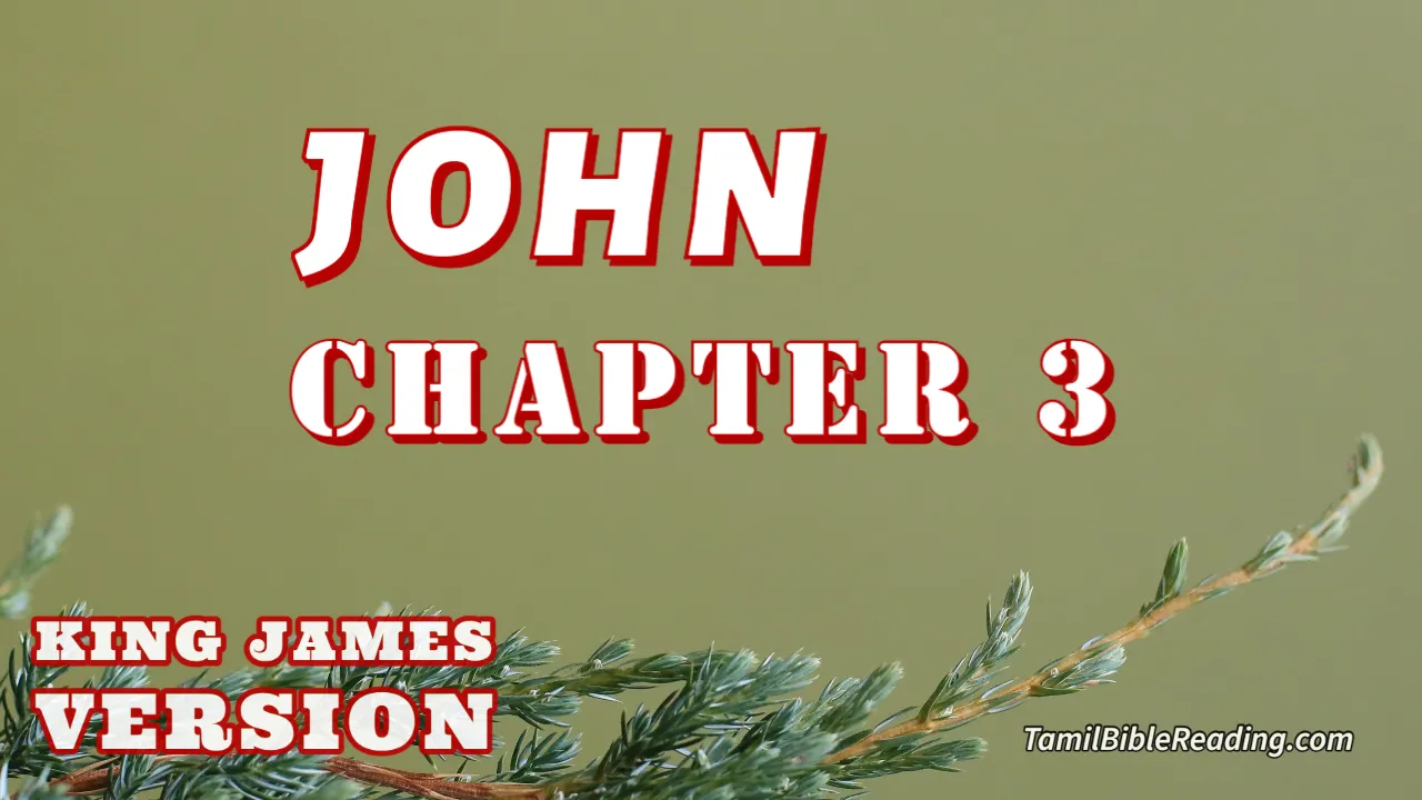 John Chapter 3, English Bible KJV, online Bible Reading, tbr site,