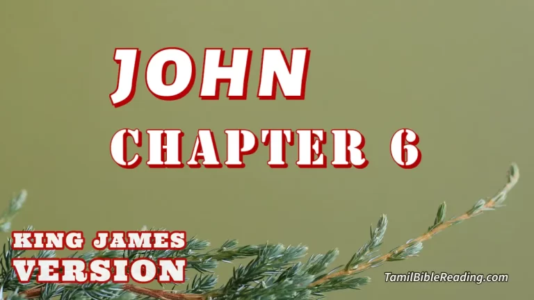 John Chapter 6, English Bible KJV, online Bible Reading, tbr site,