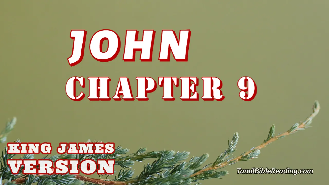 John Chapter 9, English Bible KJV, online Bible Reading, tbr site,