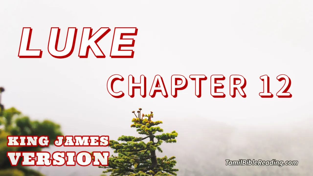 Luke Chapter 12, English Bible KJV, online Bible Reading, tbr site,