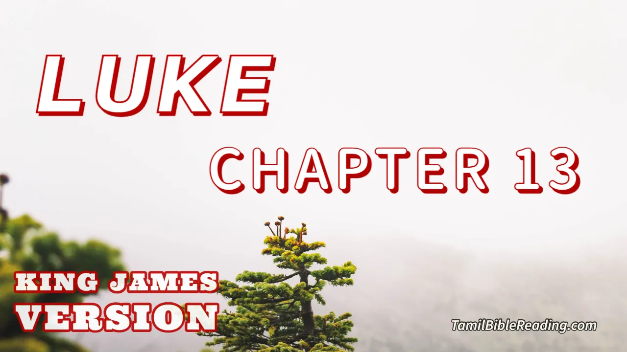 Luke Chapter 13, English Bible KJV, online Bible Reading, tbr site,