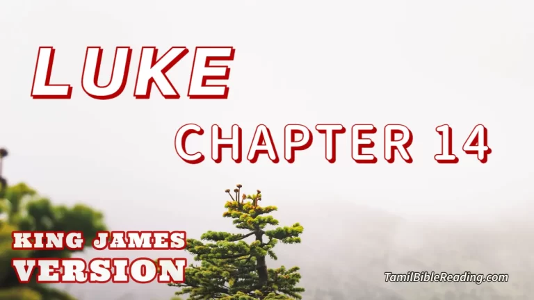 Luke Chapter 14, English Bible KJV, online Bible Reading, tbr site,