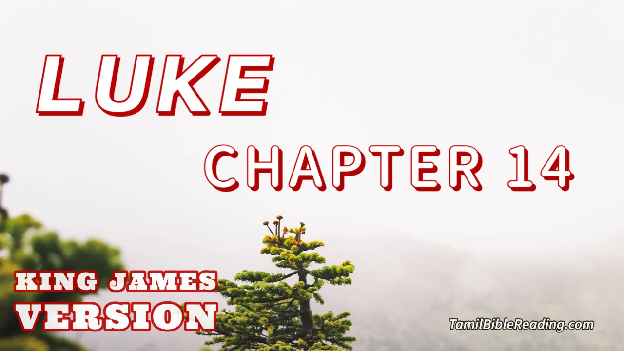 Luke Chapter 14, English Bible KJV, online Bible Reading, tbr site,