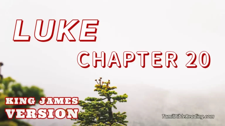 Luke Chapter 20, English Bible KJV, online Bible Reading, tbr site,