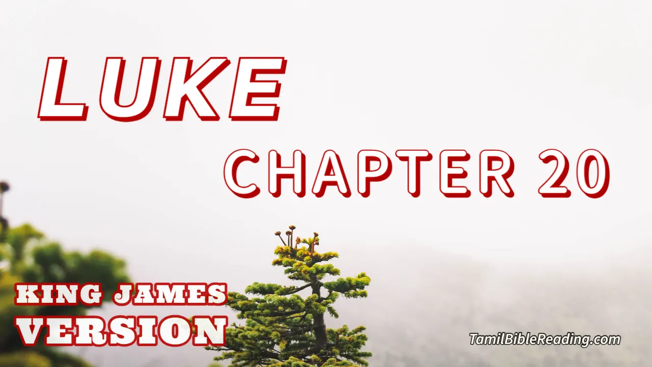 Luke Chapter 20, English Bible KJV, online Bible Reading, tbr site,