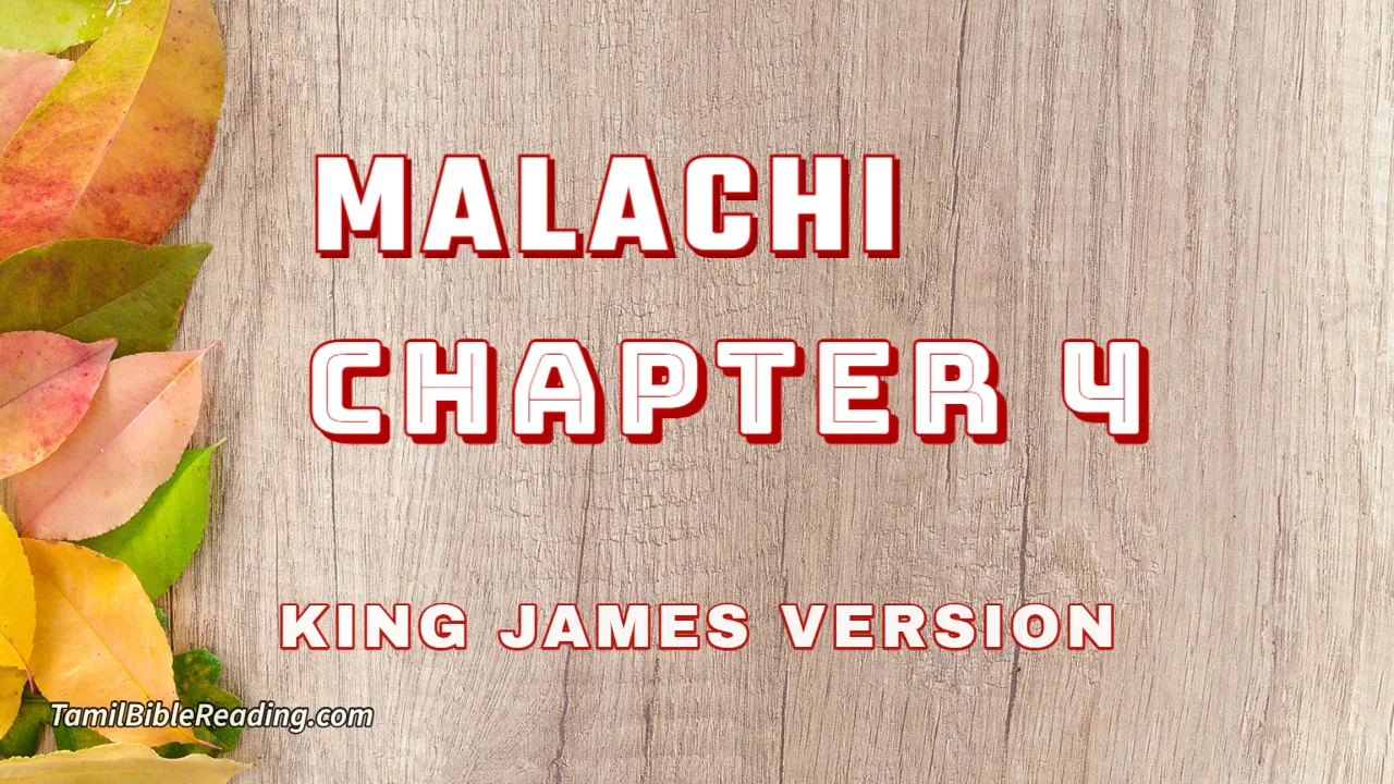 Malachi Chapter 4, English Bible, KJV Bible, online English Bible, tbr site,