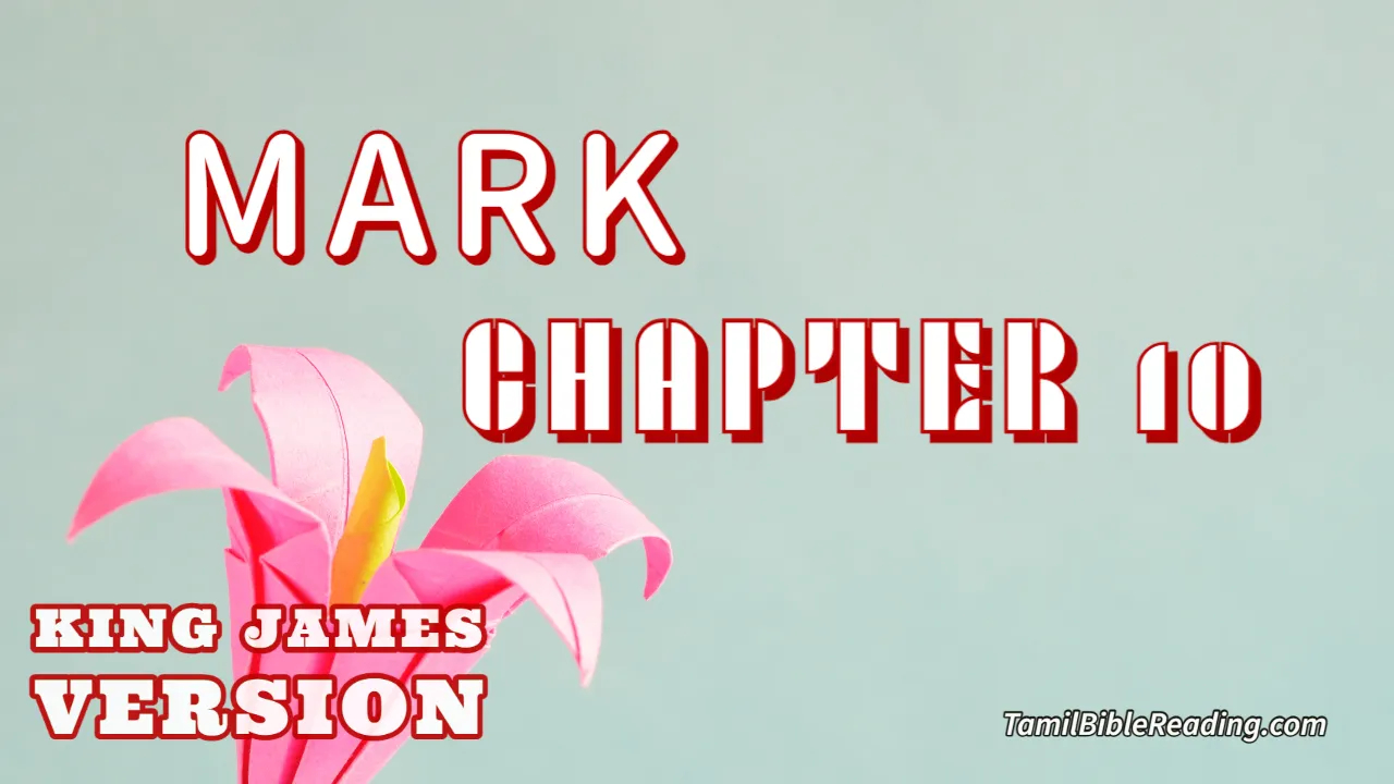 Mark Chapter 10, English Bible KJV, online Bible Reading, tbr site,