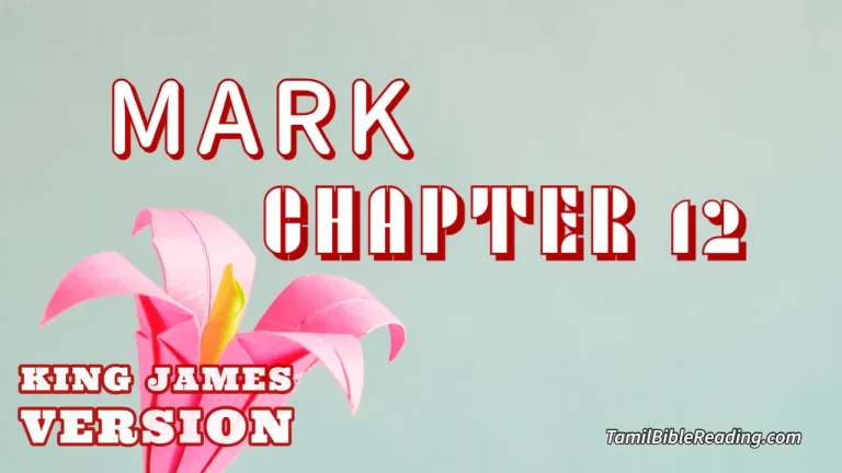 Mark Chapter 12, English Bible KJV, online Bible Reading, tbr site,