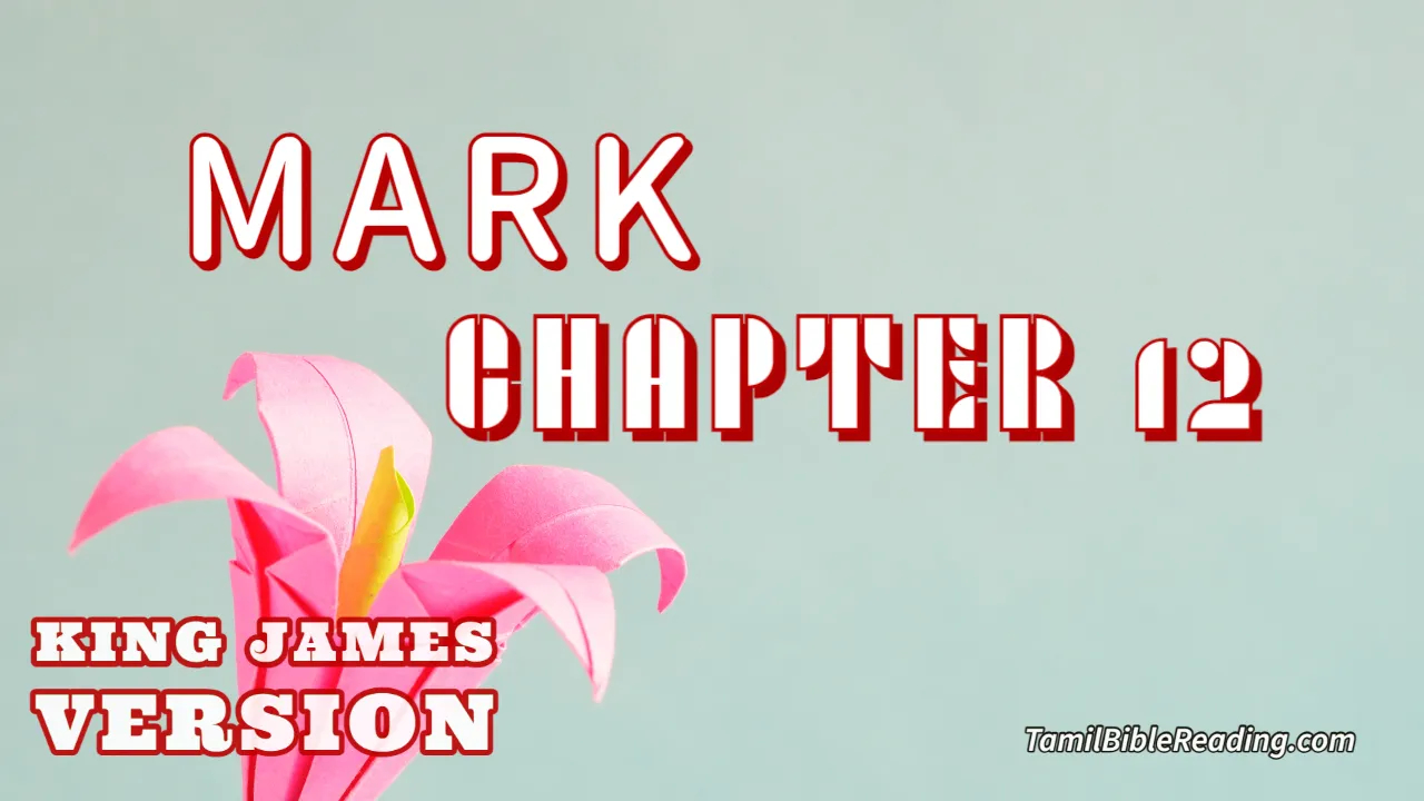Mark Chapter 12, English Bible KJV, online Bible Reading, tbr site,