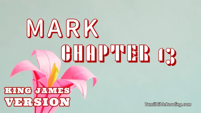 Mark Chapter 13, English Bible KJV, online Bible Reading, tbr site,