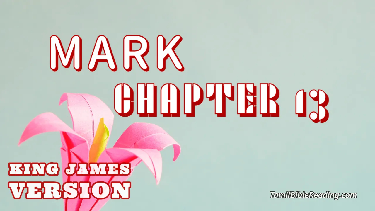 Mark Chapter 13, English Bible KJV, online Bible Reading, tbr site,