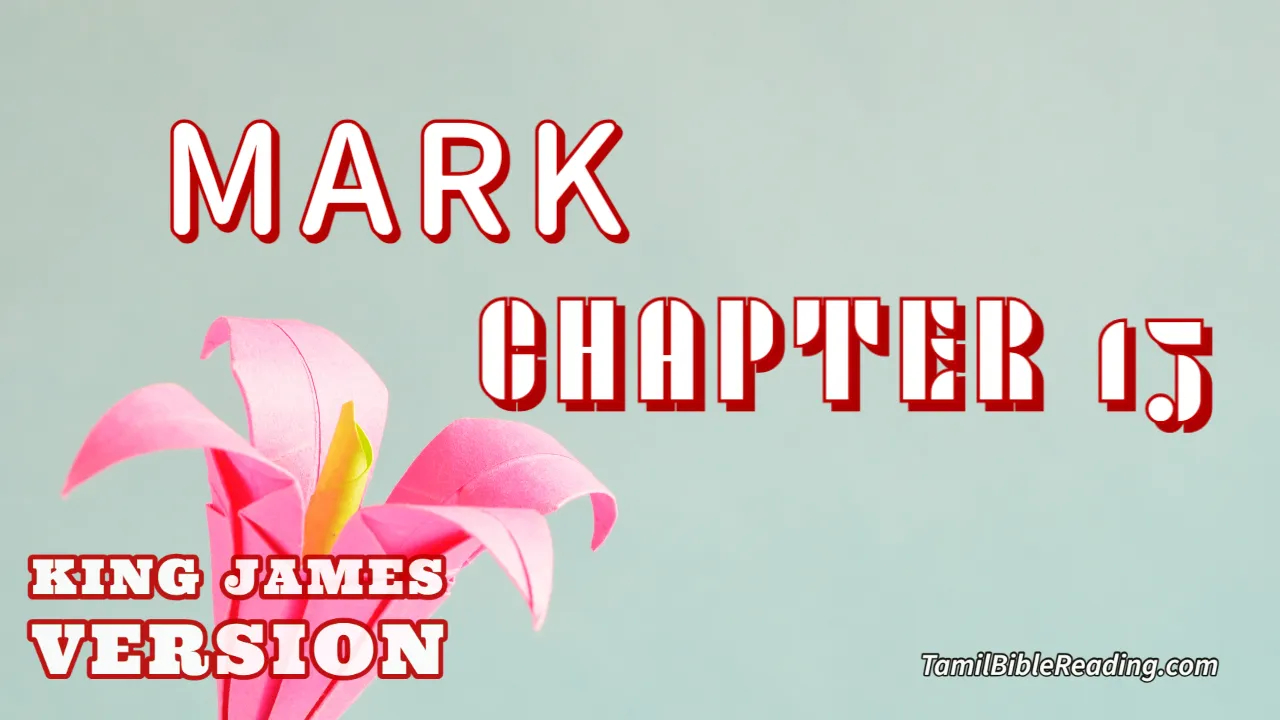 Mark Chapter 15, English Bible KJV, online Bible Reading, tbr site,