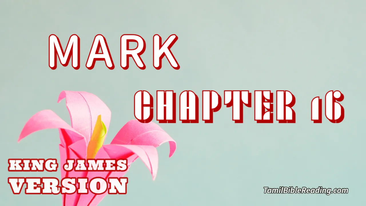 Mark Chapter 16, English Bible KJV, online Bible Reading, tbr site,