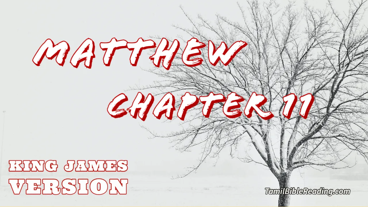 Matthew Chapter 11, English Bible KJV, Tamil bible reading, online Bible Reading,