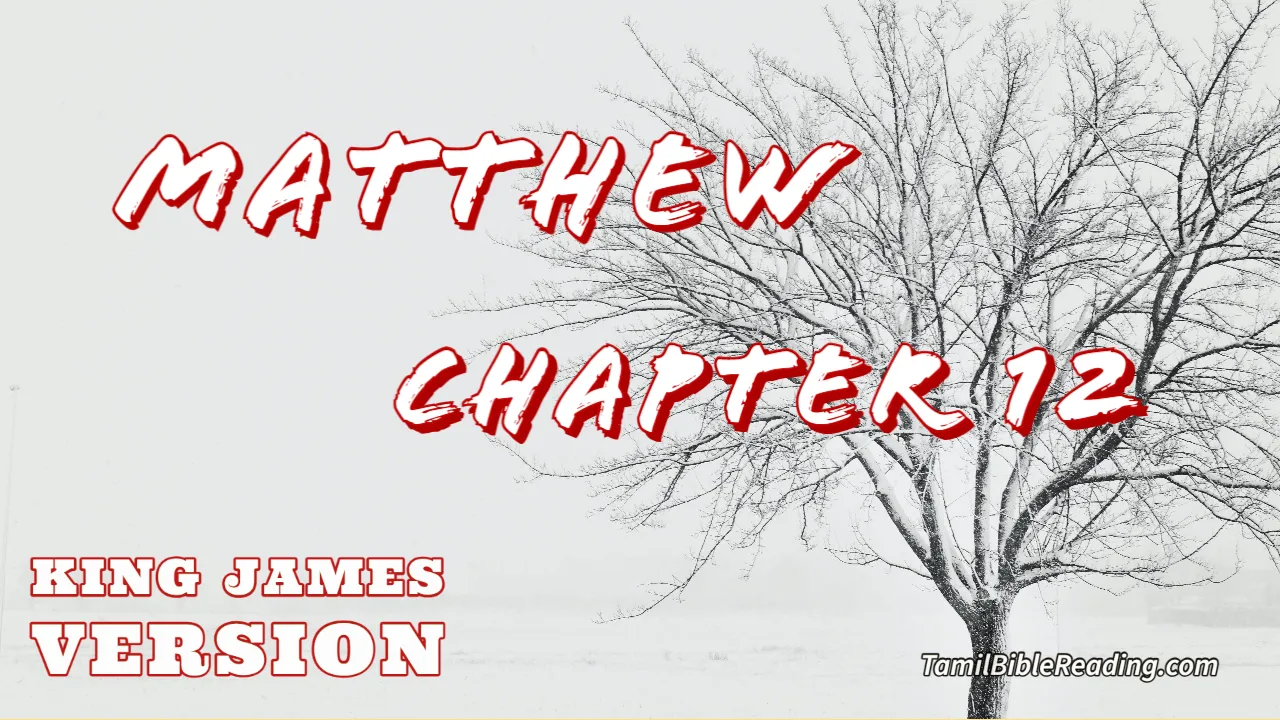 Matthew Chapter 12, English Bible KJV, Tamil bible reading, online Bible Reading,