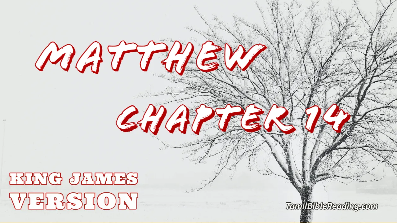 Matthew Chapter 14, English Bible KJV, Tamil bible reading, online Bible Reading,