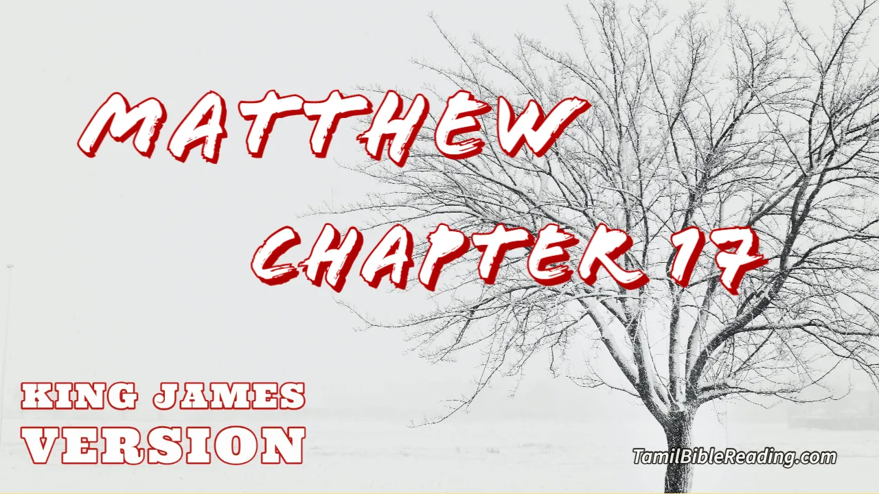 Matthew Chapter 17, English Bible KJV, Tamil bible reading, online Bible Reading,