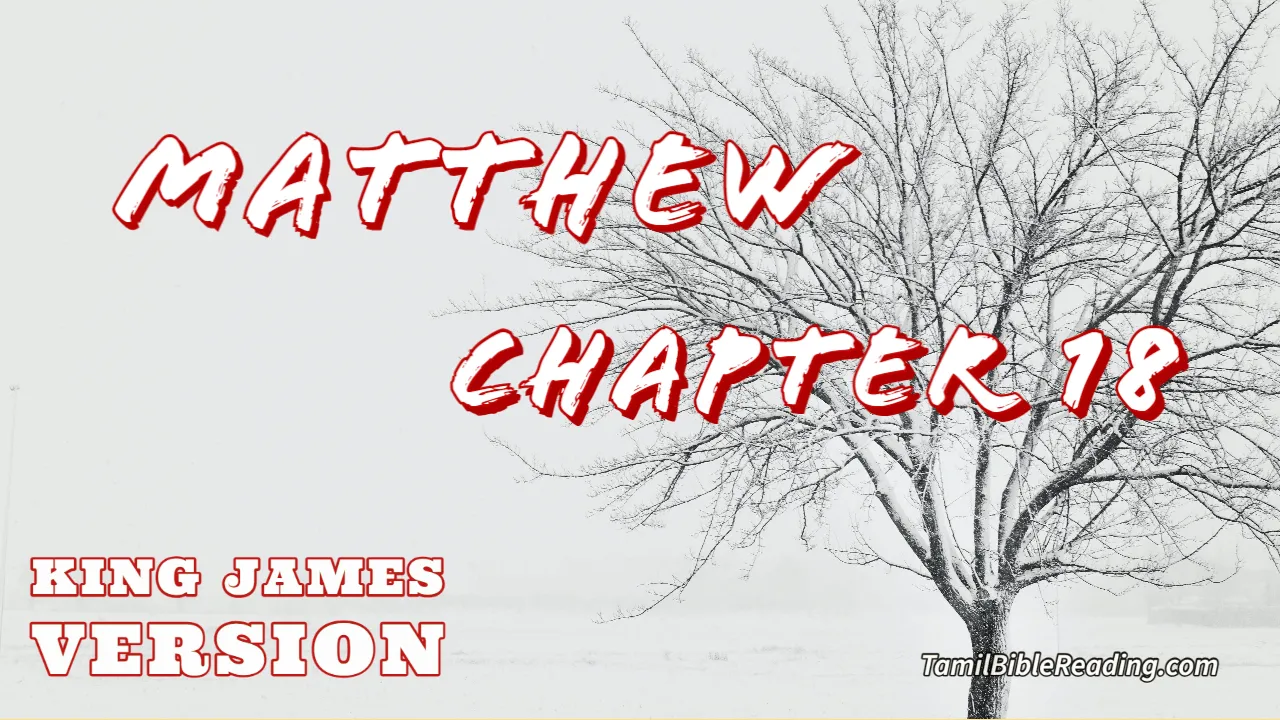 Matthew Chapter 18, English Bible KJV, Tamil bible reading, online Bible Reading,