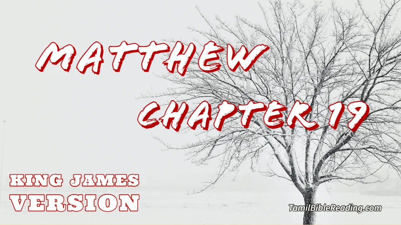 Matthew Chapter 19, English Bible KJV, Tamil bible reading, online Bible Reading,