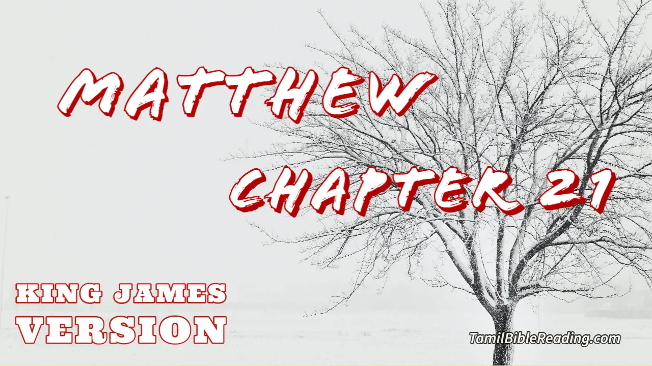 Matthew Chapter 21, English Bible KJV, Tamil bible reading, online Bible Reading,