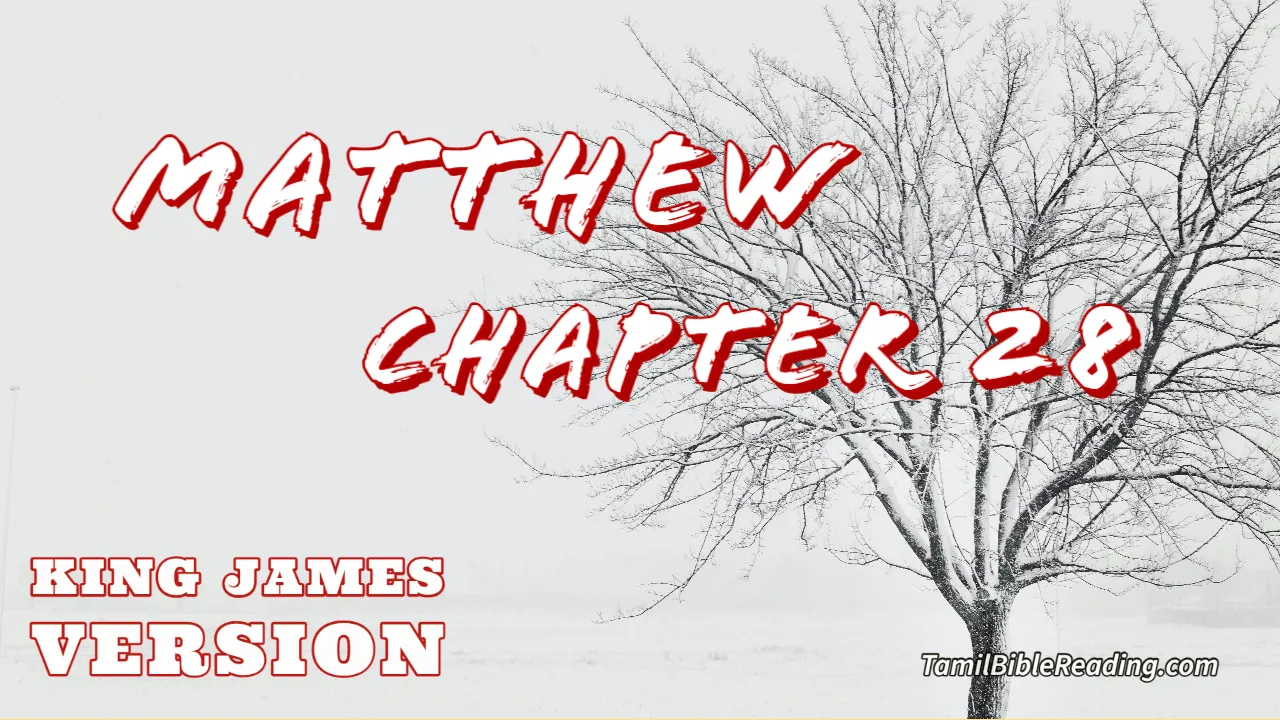 Matthew Chapter 28, English Bible KJV, Tamil bible reading, online Bible Reading,