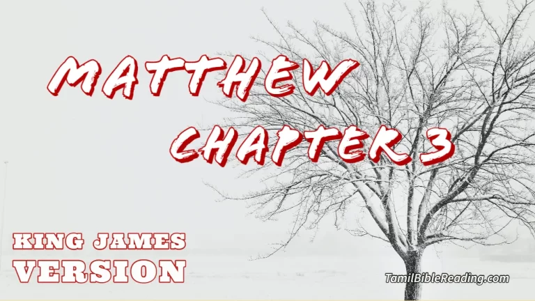 Matthew Chapter 3, English Bible KJV, Tamil bible reading, online Bible Reading,