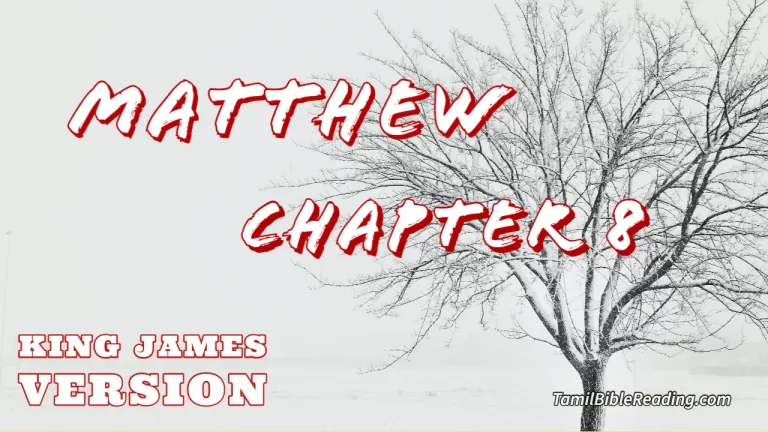 Matthew Chapter 8, English Bible KJV, Tamil bible reading, online Bible Reading,