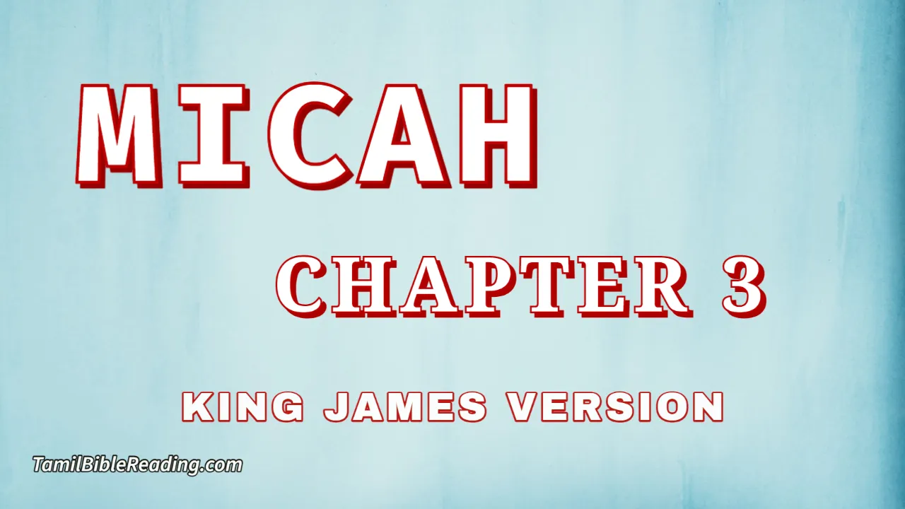 Micah Chapter 3, English Bible, KJV Bible, online English Bible, tbr site,