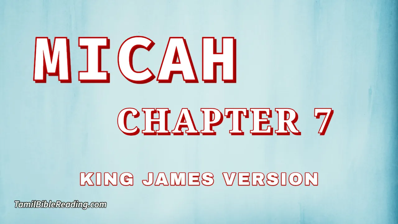 Micah Chapter 7, English Bible, KJV Bible, online English Bible, tbr site,