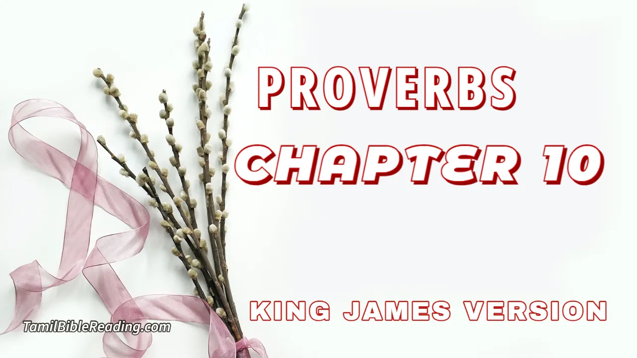 Proverbs Chapter 10, English Bible, KJV Bible, online English Bible, tbr site,