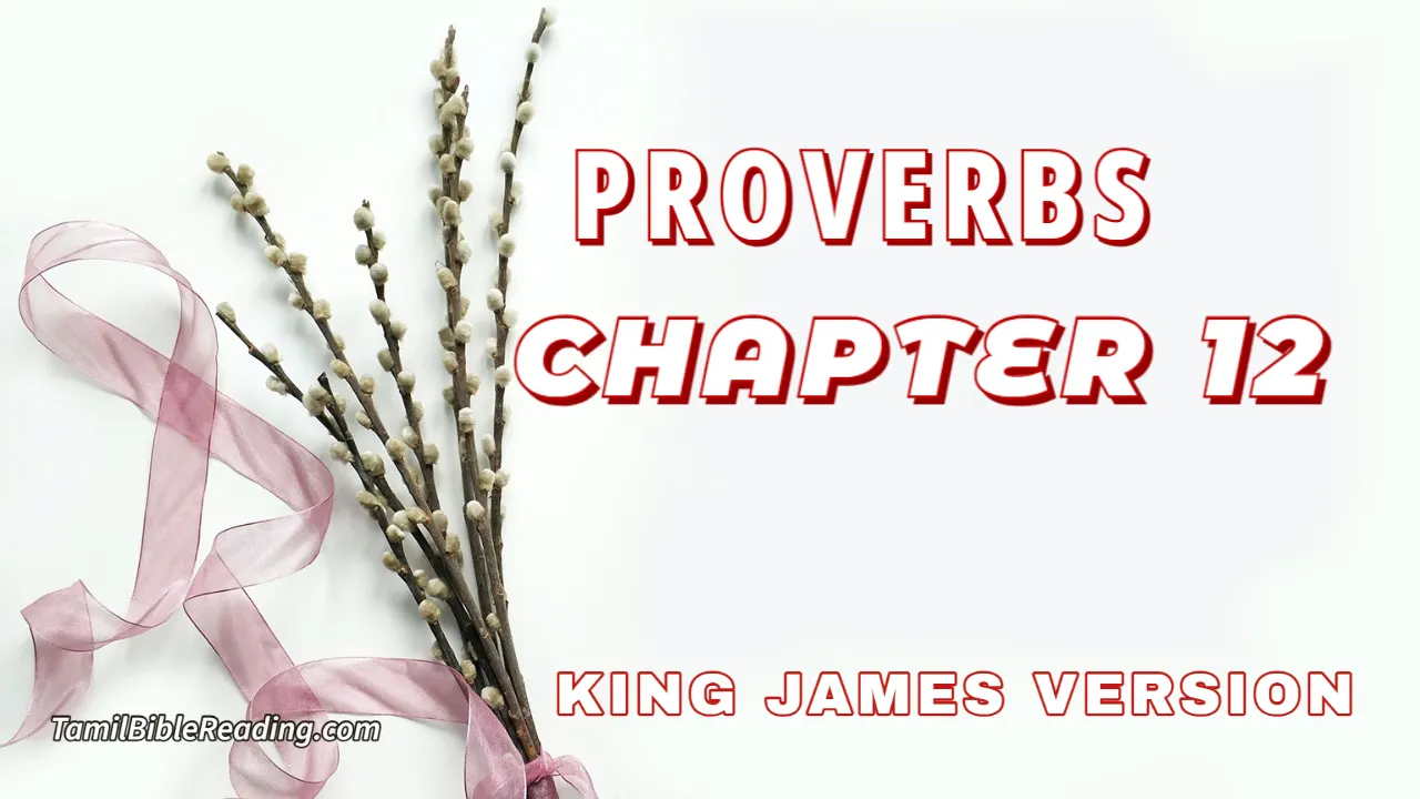 Proverbs Chapter 12, English Bible, KJV Bible, online English Bible, tbr site,