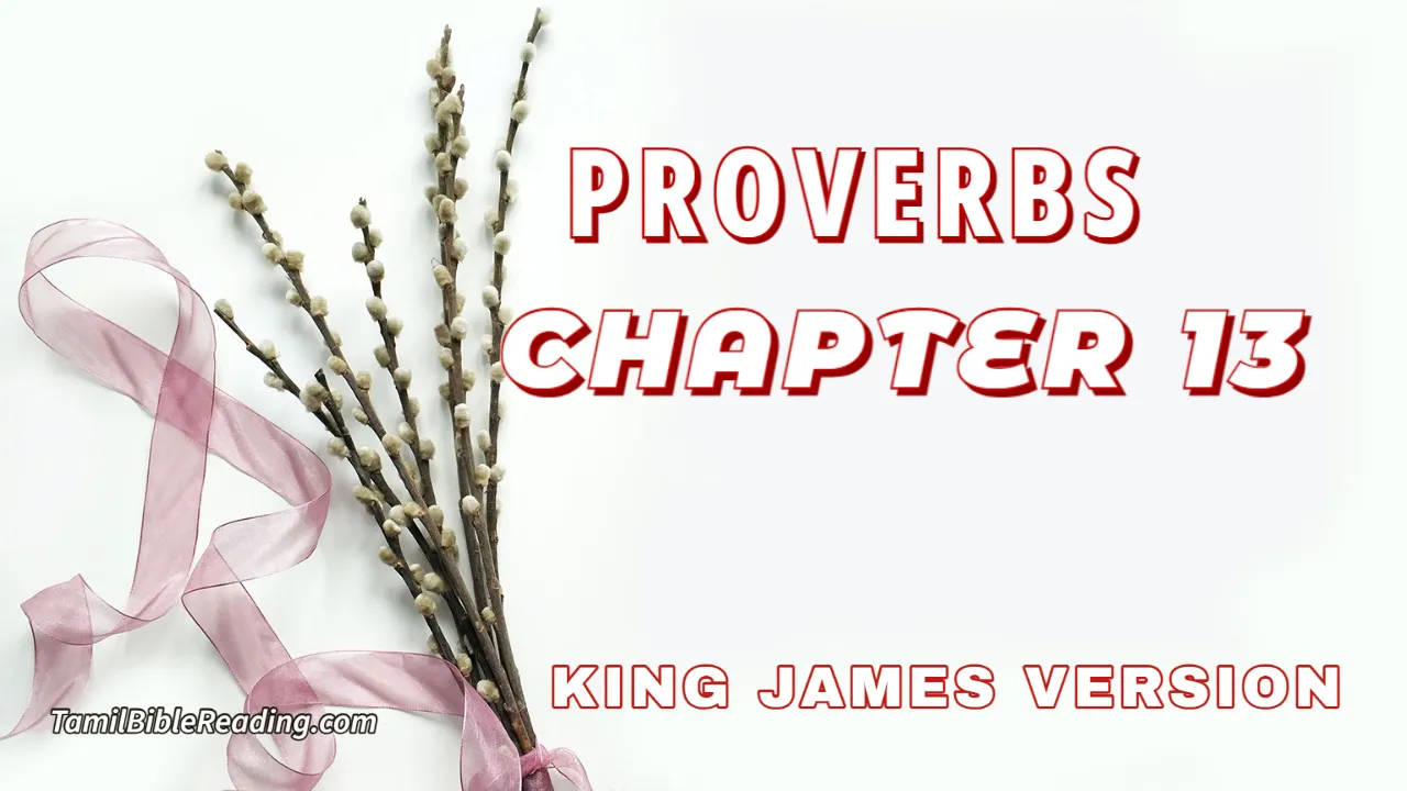 Proverbs Chapter 13, English Bible, KJV Bible, online English Bible, tbr site,
