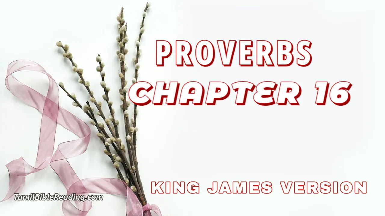 Proverbs Chapter 16, English Bible, KJV Bible, online English Bible, tbr site,