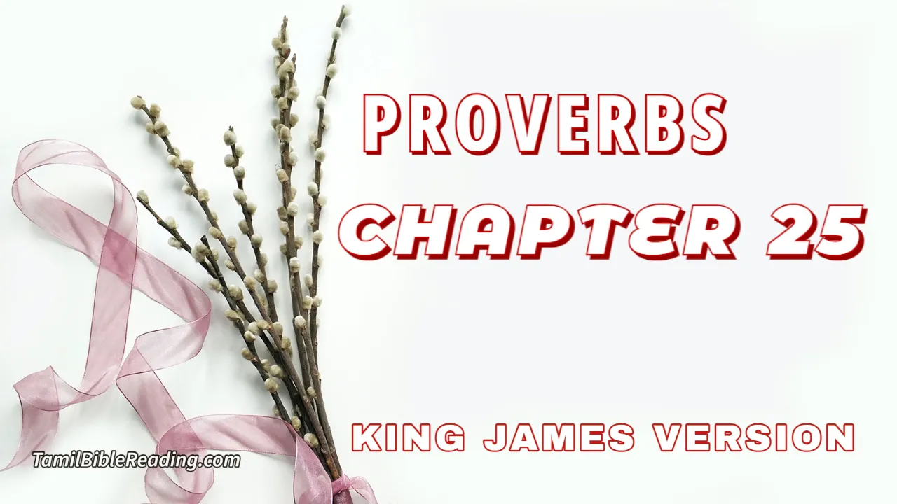 Proverbs Chapter 25, English Bible, KJV Bible, online English Bible, tbr site,