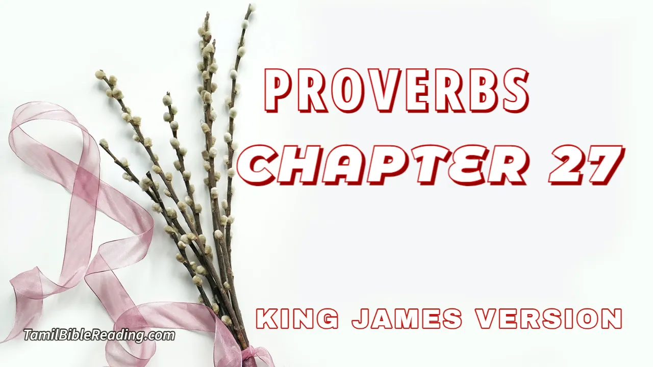 Proverbs Chapter 27, English Bible, KJV Bible, online English Bible, tbr site,