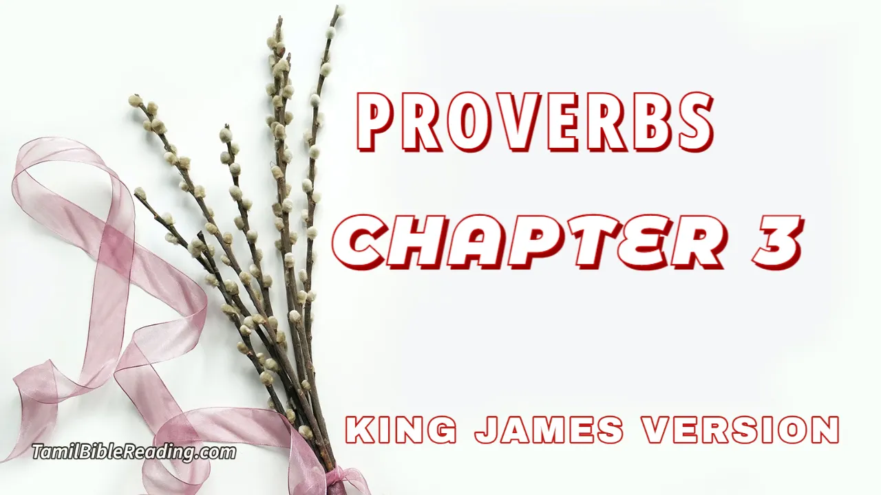 Proverbs Chapter 3, English Bible, KJV Bible, online English Bible, tbr site,