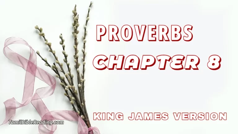 Proverbs Chapter 8, English Bible, KJV Bible, online English Bible, tbr site,