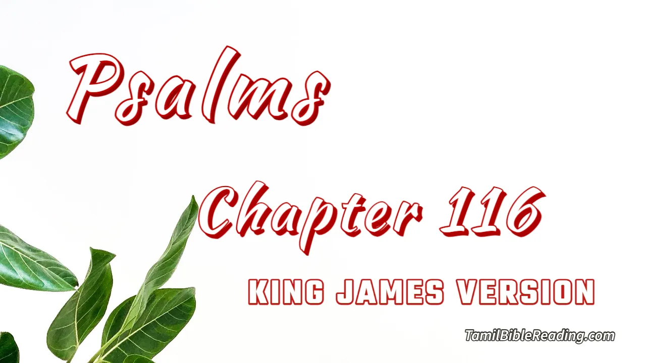 Psalms Chapter 116, English Bible, KJV Bible, online English Bible, tbr site,