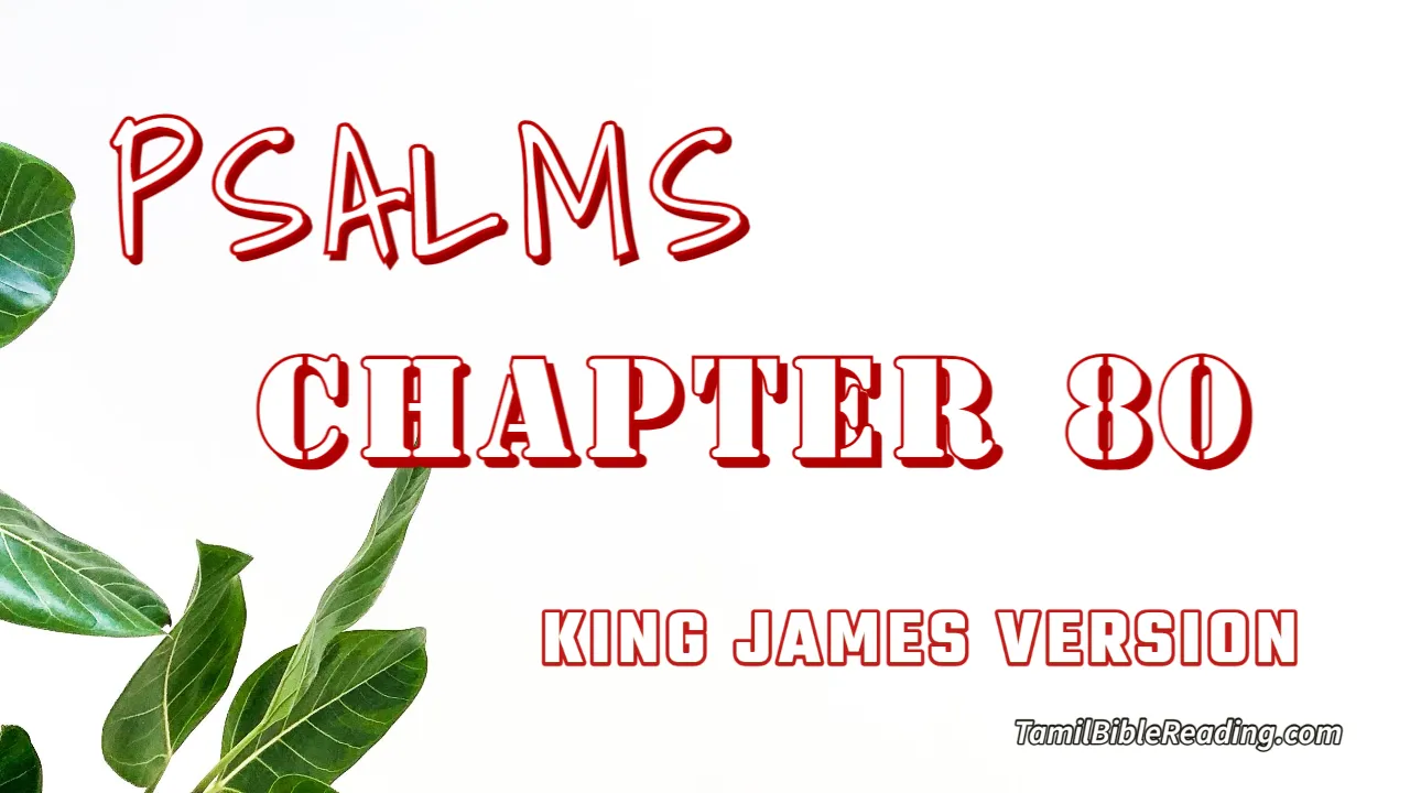 Psalms Chapter 80, English Bible, KJV Bible, online English Bible, tbr site,