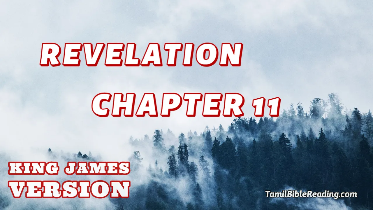 Revelation Chapter 11, English Bible KJV, online English Bible, tbr site,