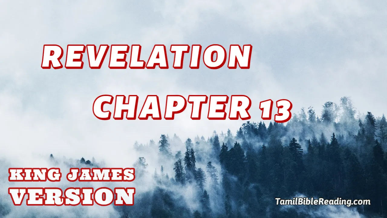 Revelation Chapter 13, English Bible KJV, online English Bible, tbr site,