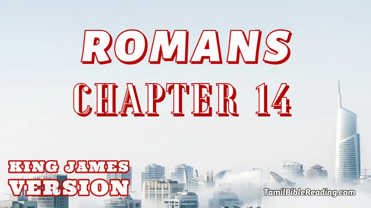 Romans Chapter 14, English Bible KJV, online Bible Reading, tbr site,