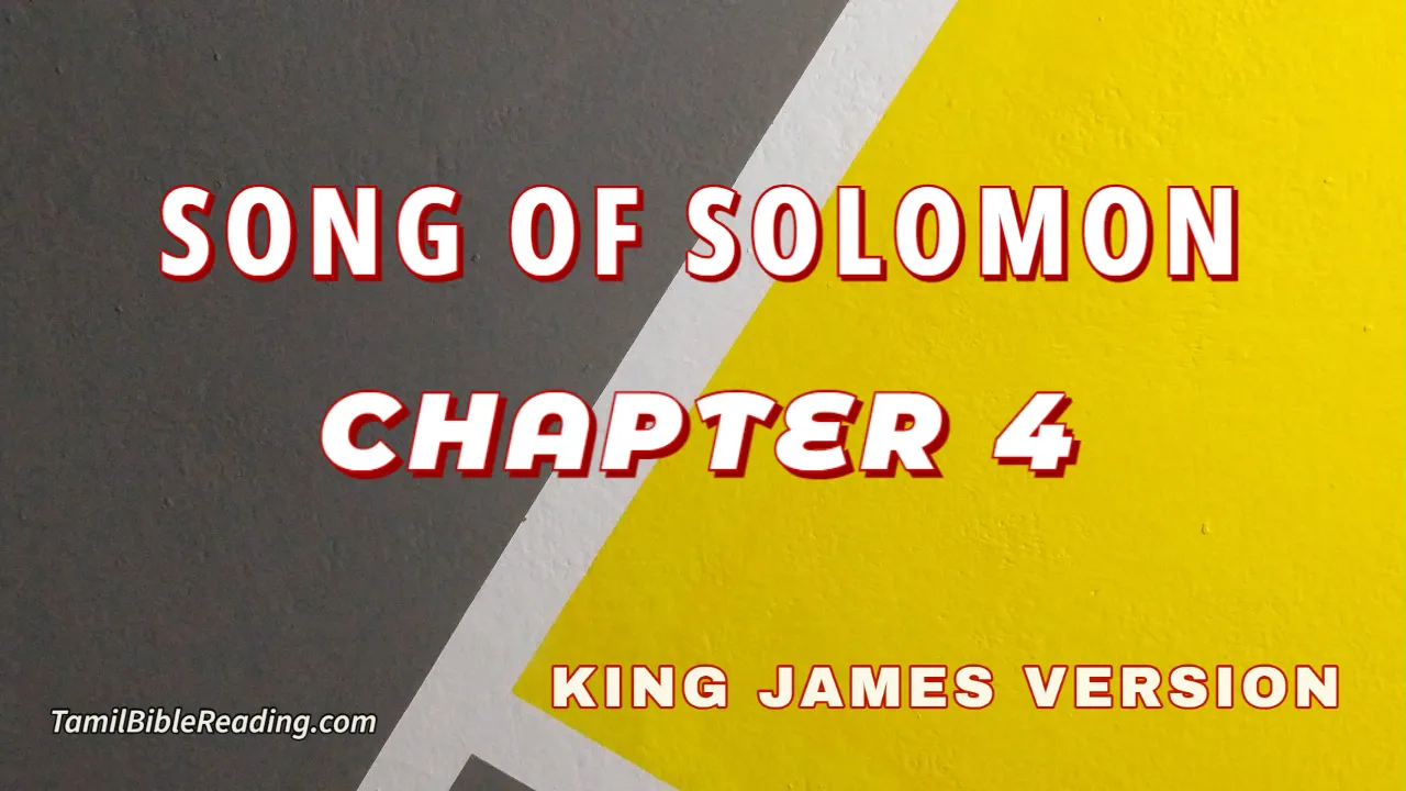 Song Of Solomon Chapter 4, English Bible, KJV Bible, online English Bible, tbr site,